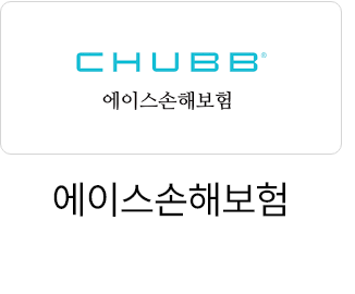 에이스손해보험